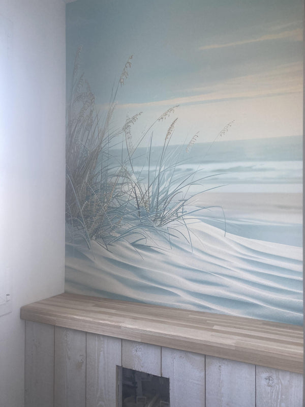 Photo client — Coastal Nature - Dunes by the Sea