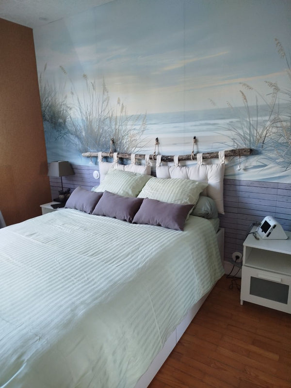 Photo client — Coastal Nature - Dunes by the Sea