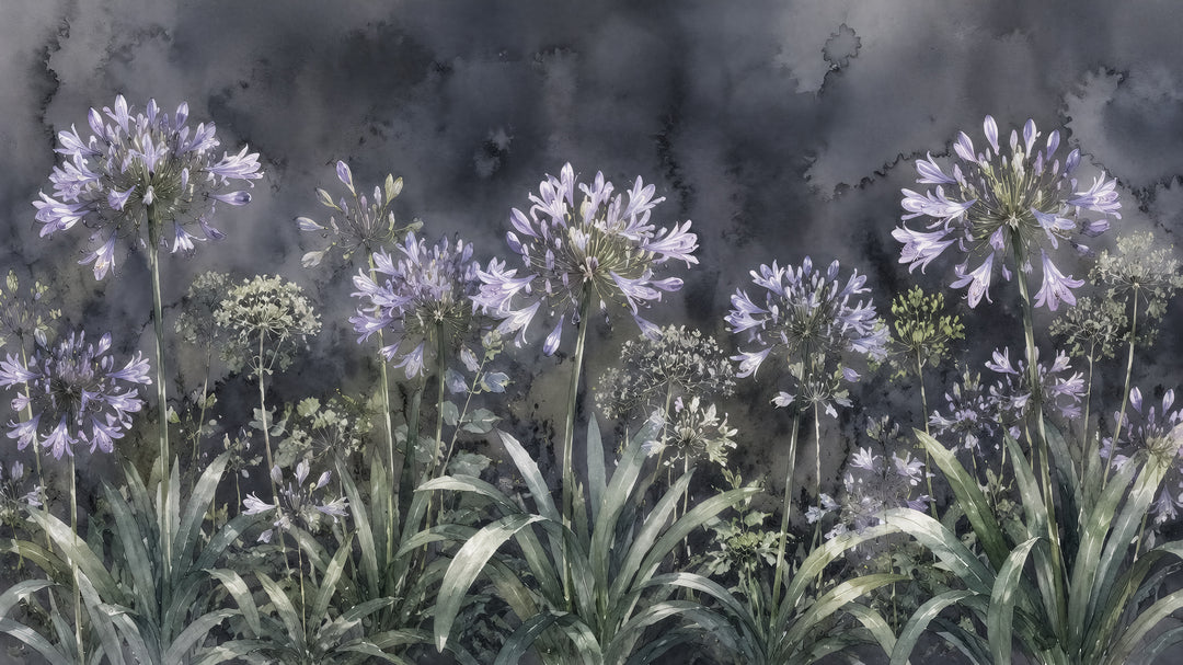 Agapanthes au Clair de Lune