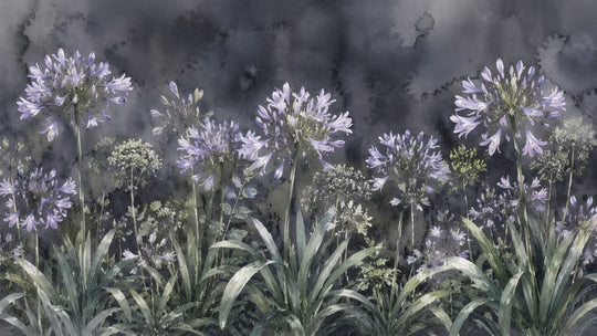 Agapanthes au Clair de Lune