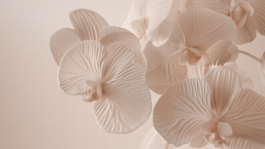 Douces Orchidées - papier peint panoramique, motif à plat