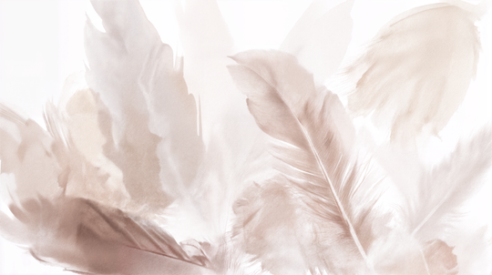 Suspended Softness