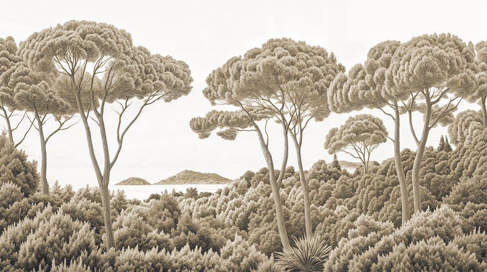 Entre pins et mer – Papier peint forêt méditerranéenne en sépia