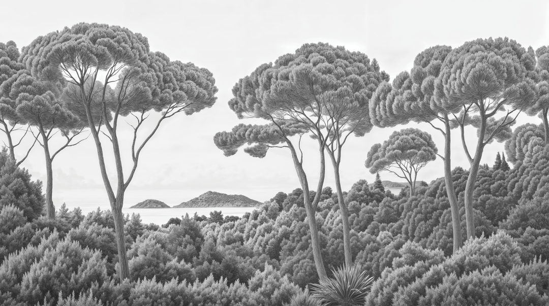 Between Pines and Sea in Black and White