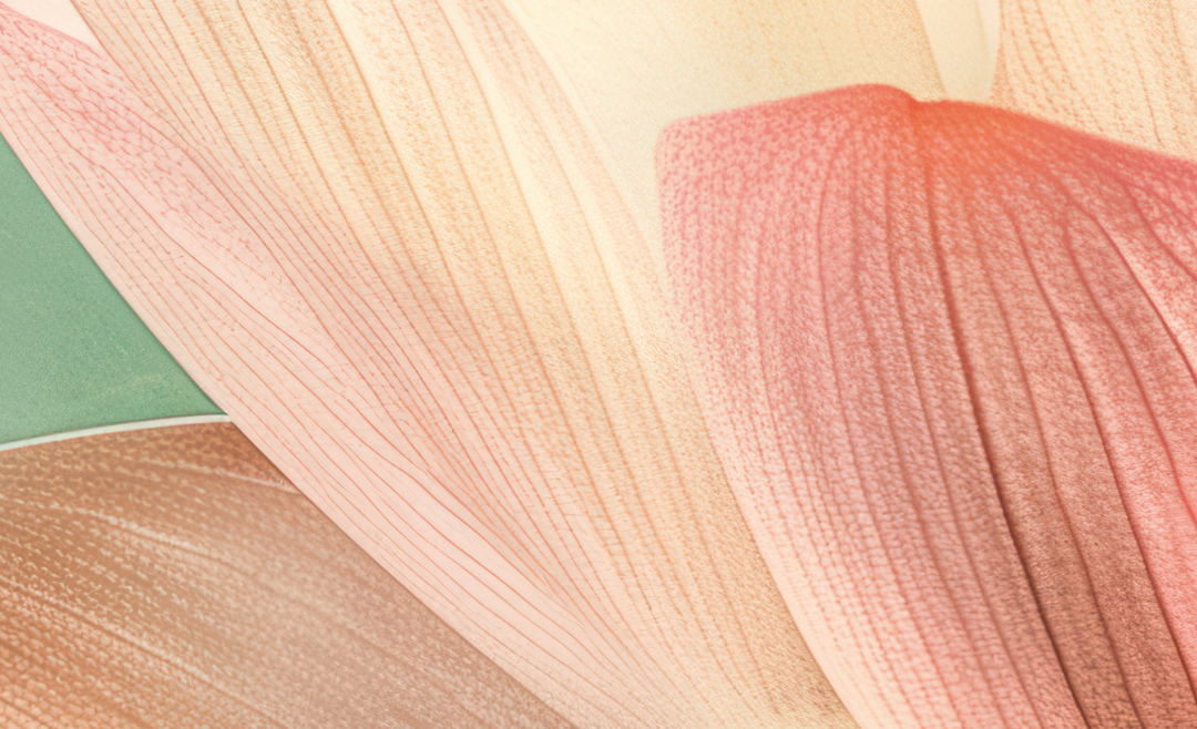 Éveil du Lotus – Papier Peint Panoramique Poétique et Apaisant