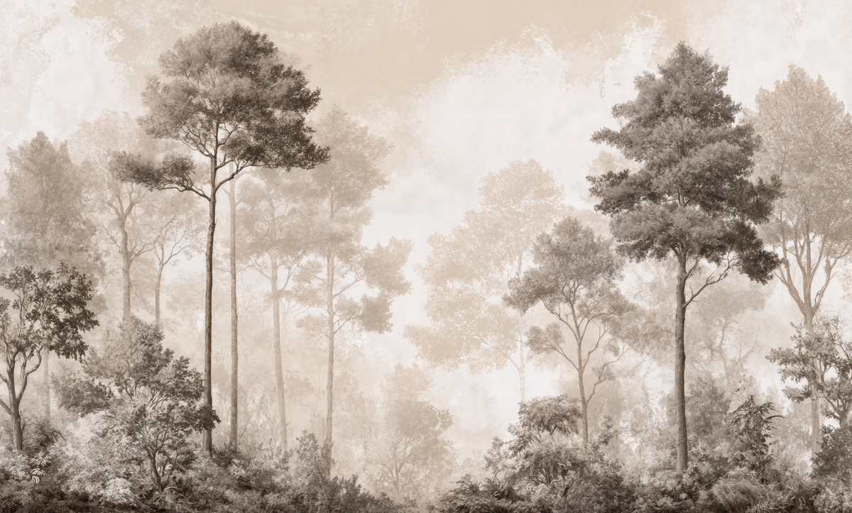 Bosque de los Silencios