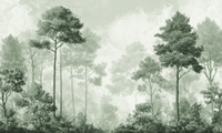 Forêt des Silences vert sauge