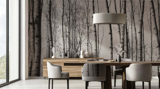 Forêt de bouleaux – Papier peint boisé en noir et blanc