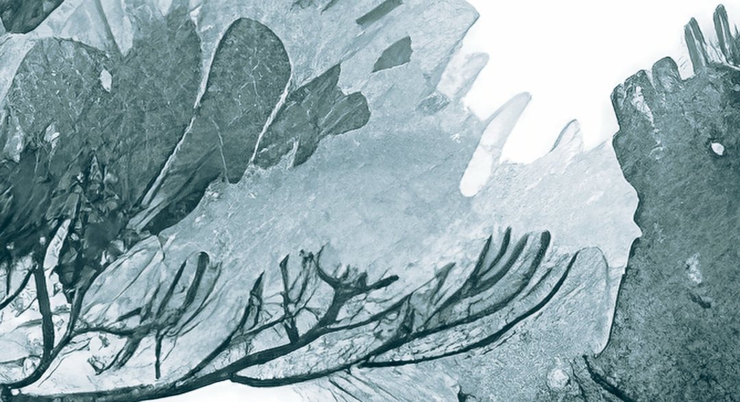 Les Pins de la Plage : Bleu gris