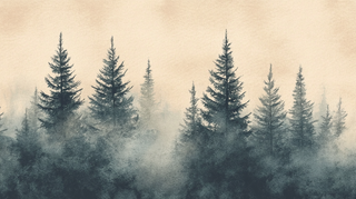 Mysteries of the Fir Trees - Foggy Forest Panoramic Wallpaper