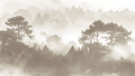 Silhouettes forestières beige - papier peint panoramique, motif à plat