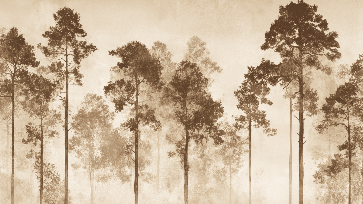 Voyage au cœur des pins en beige - papier peint panoramique, motif à plat