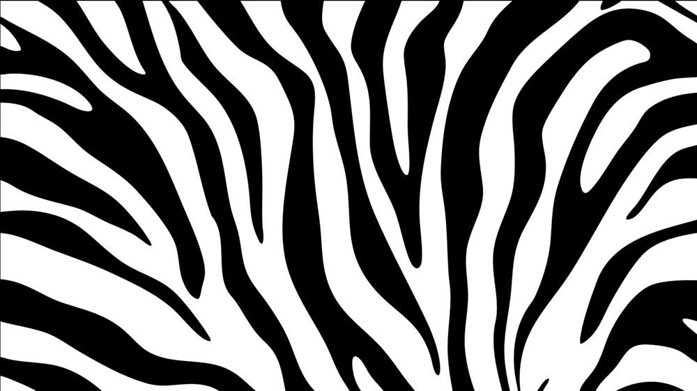 Zébrures contemporaines – Papier peint animal intemporel