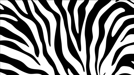 Zébrures contemporaines – Papier peint animal intemporel