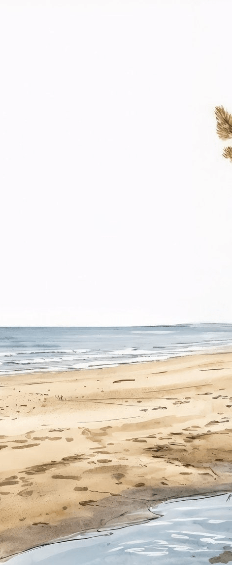 Balade au Cap Ferret - Illulart: Papier peint panoramique