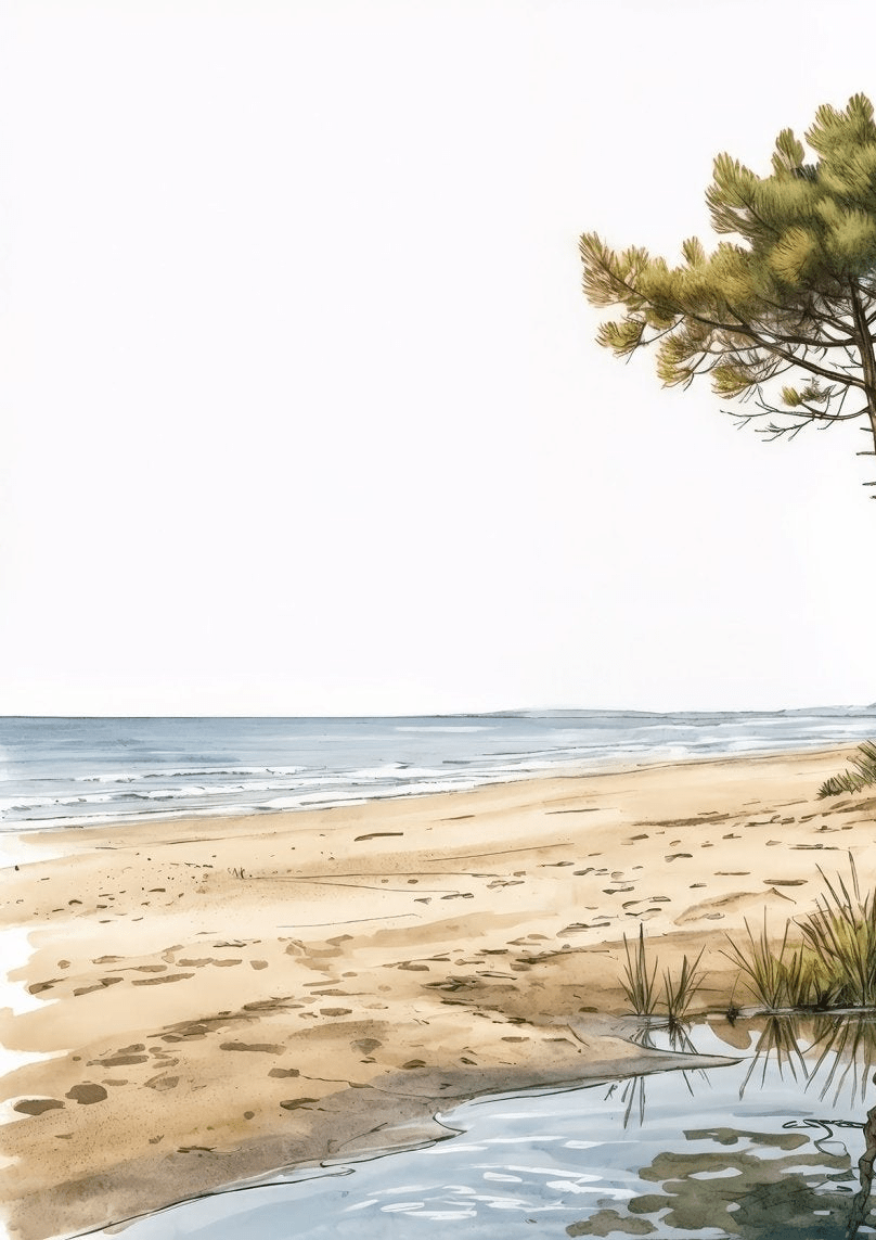 Balade au Cap Ferret – Papier peint panoramique évasion entre océan, sable et pinède - Illulart: Papier peint panoramique