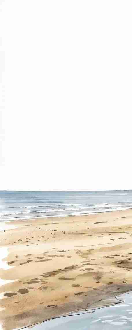 Balade au Cap Ferret – Papier peint panoramique évasion entre océan, sable et pinède - Illulart: Papier peint panoramique
