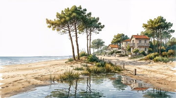 Balade au Cap Ferret – Papier peint panoramique évasion entre océan, sable et pinède
