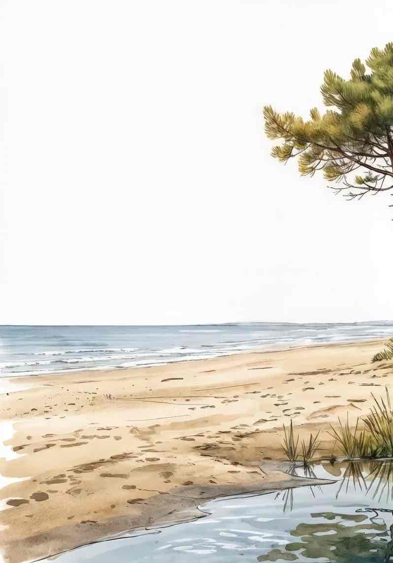 Balade au Cap Ferret – Papier peint panoramique évasion entre océan, sable et pinède - Illulart: Papier peint panoramique