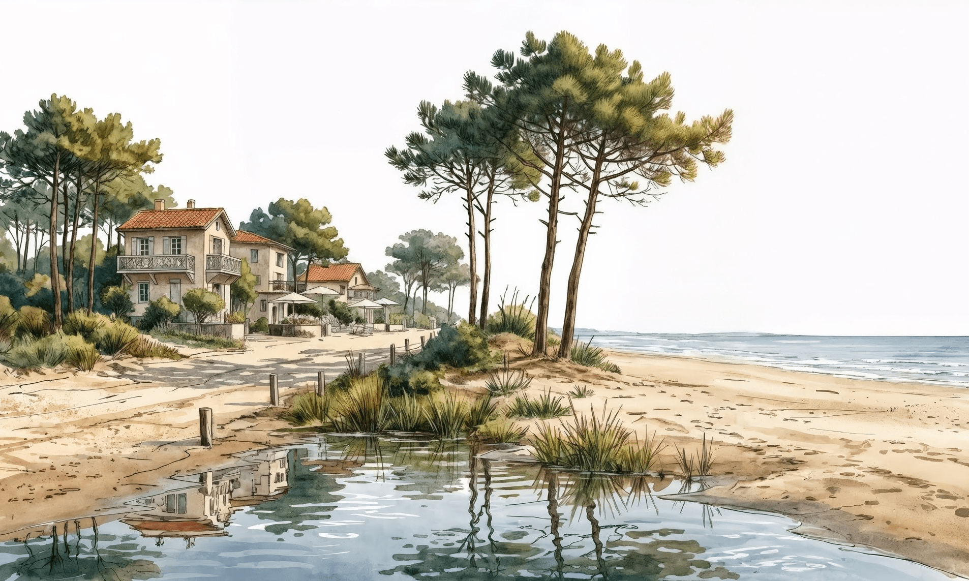 Balade au Cap Ferret – Papier peint panoramique évasion entre océan, sable et pinède