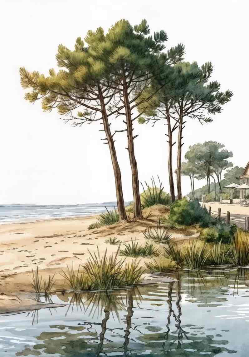 Balade au Cap Ferret – Papier peint panoramique évasion entre océan, sable et pinède - Illulart: Papier peint panoramique