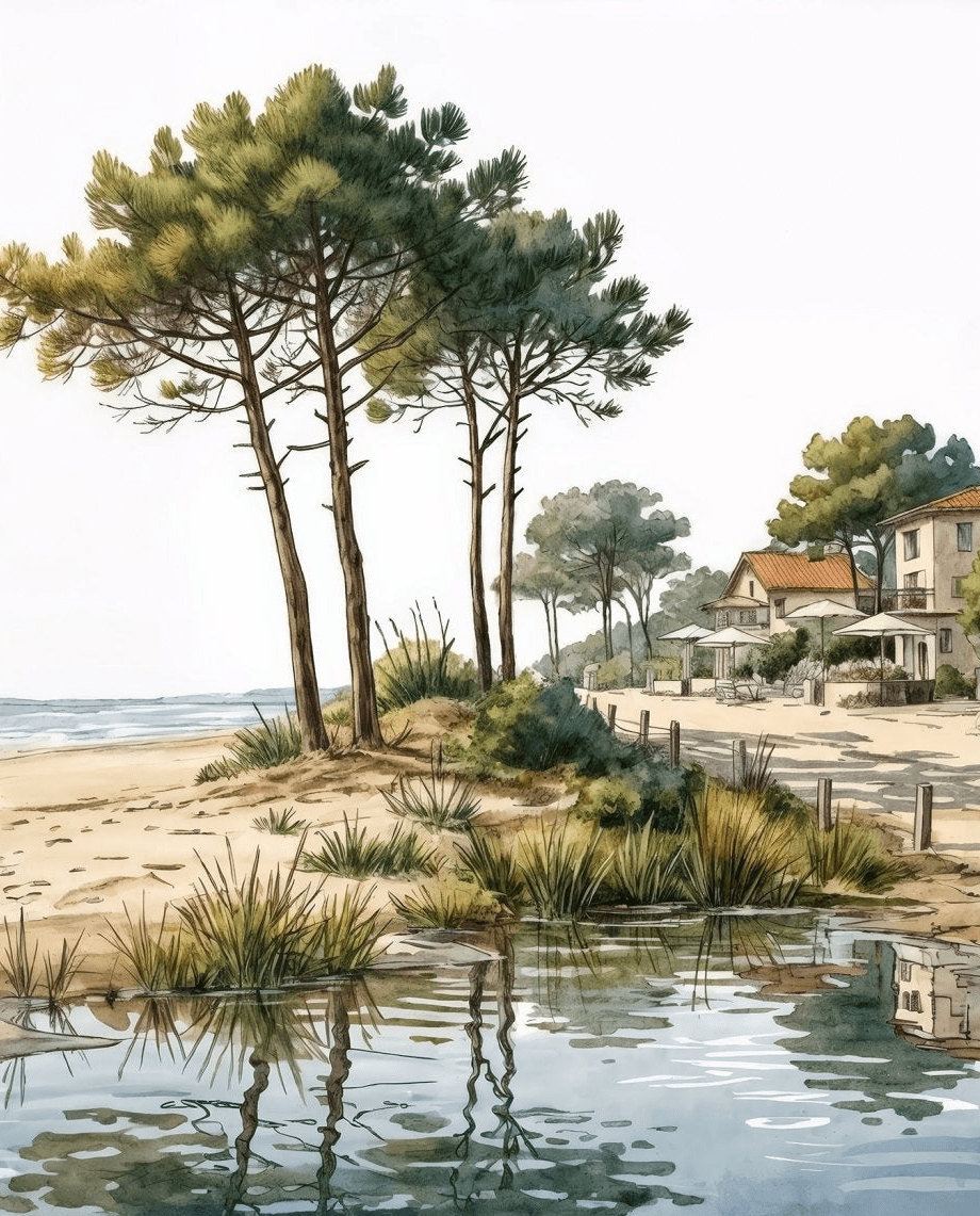 Balade au Cap Ferret – Papier peint panoramique évasion entre océan, sable et pinède - Illulart: Papier peint panoramique