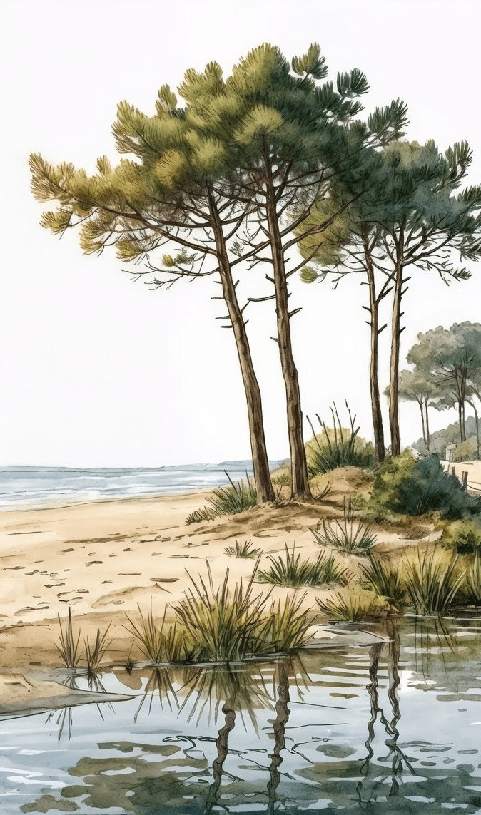 Balade au Cap Ferret – Papier peint panoramique évasion entre océan, sable et pinède - Illulart: Papier peint panoramique