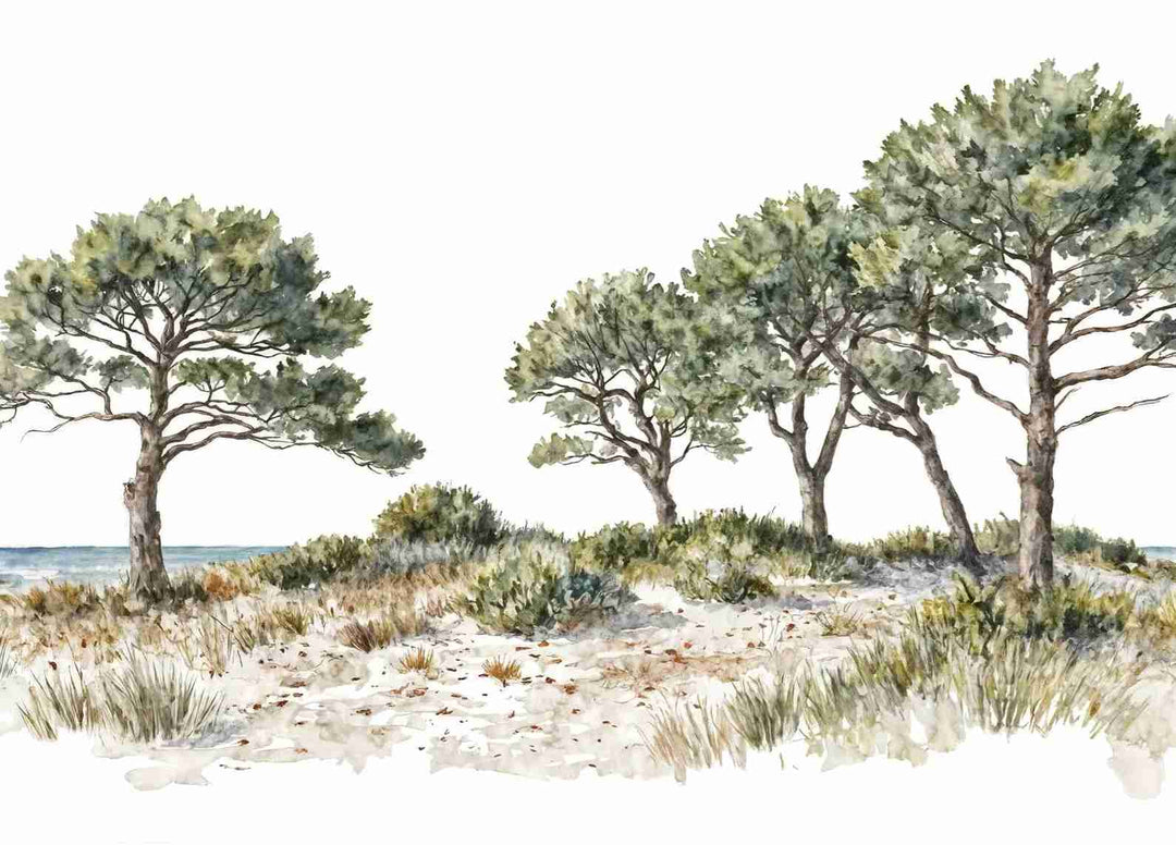 Brise des dunes - Illulart: Papier peint panoramique