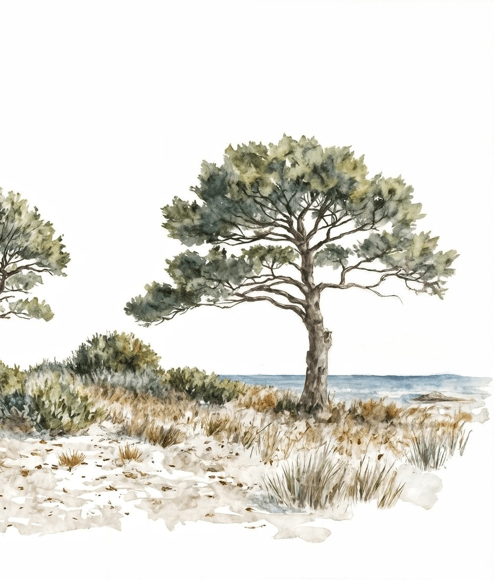 Brise des dunes - Illulart: Papier peint panoramique