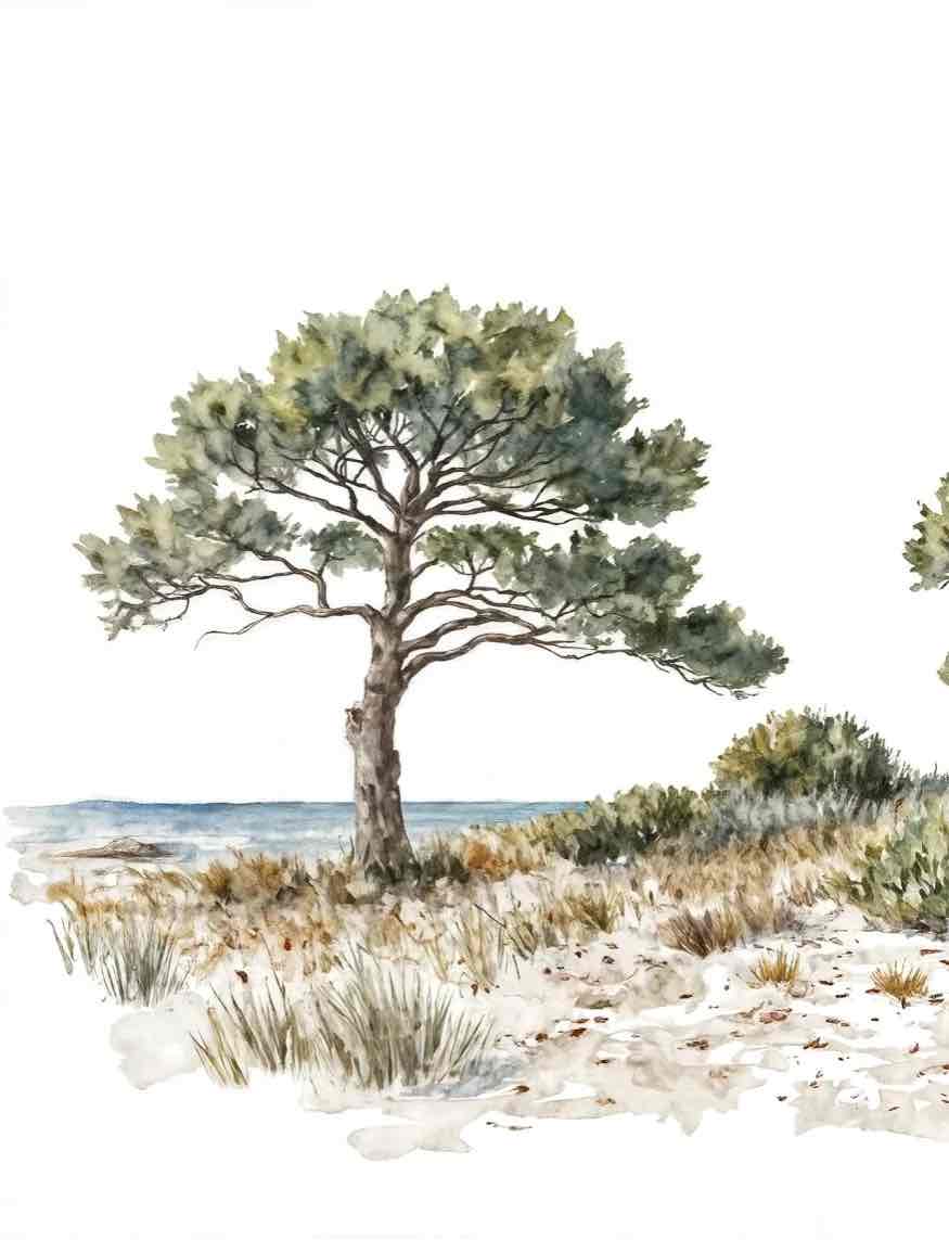 Brise des dunes - Illulart: Papier peint panoramique