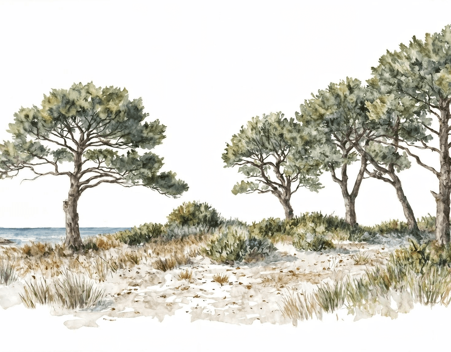 Brise des dunes