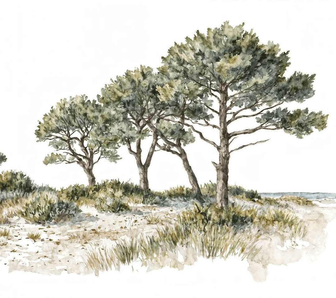 Brise des dunes - Illulart: Papier peint panoramique