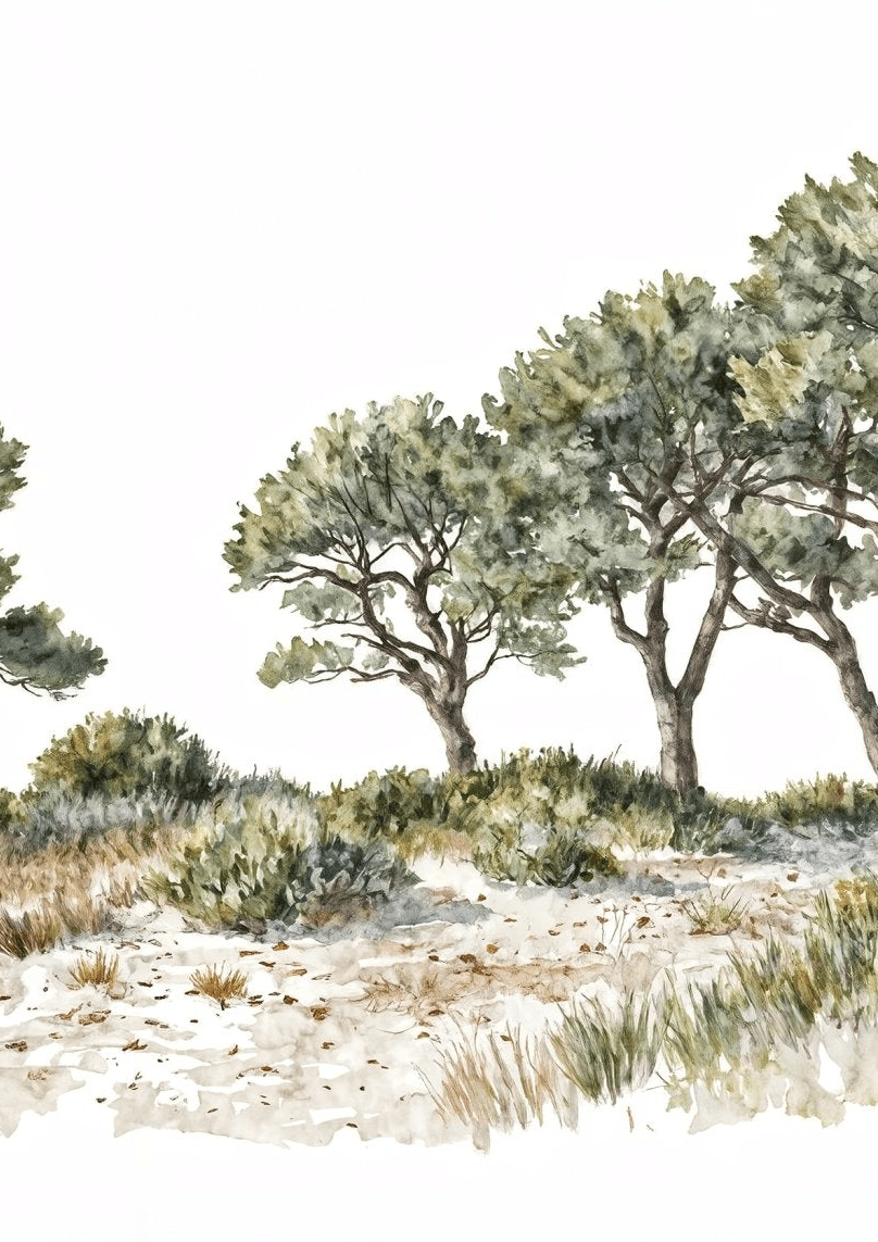 Brise des dunes - Illulart: Papier peint panoramique