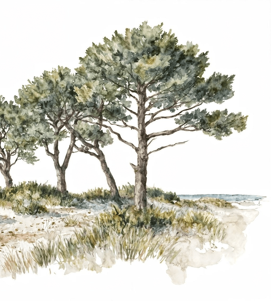 Brise des dunes