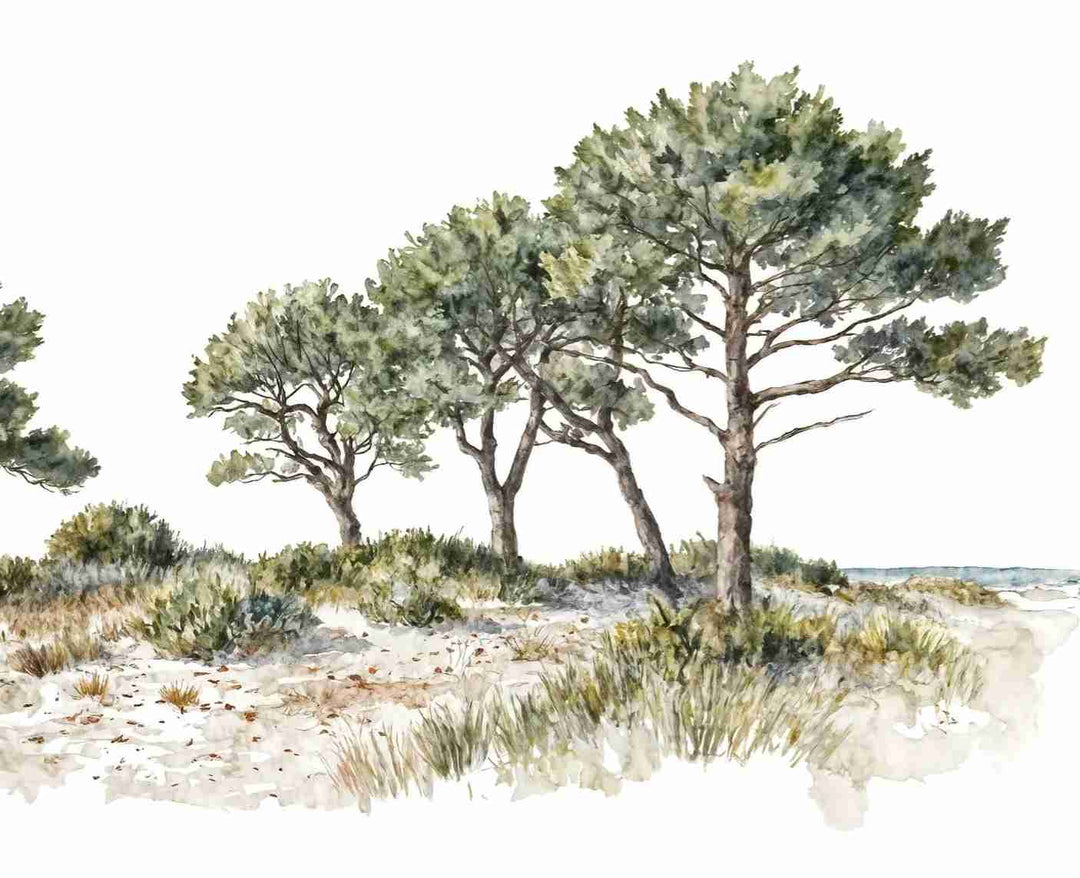 Brise des dunes - Illulart: Papier peint panoramique