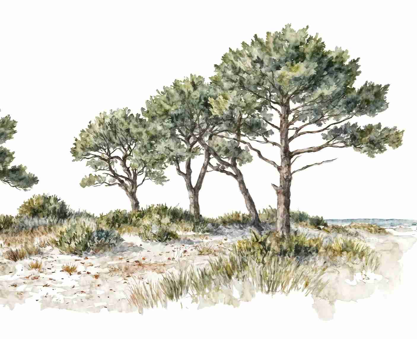 Brise des dunes - Illulart: Papier peint panoramique
