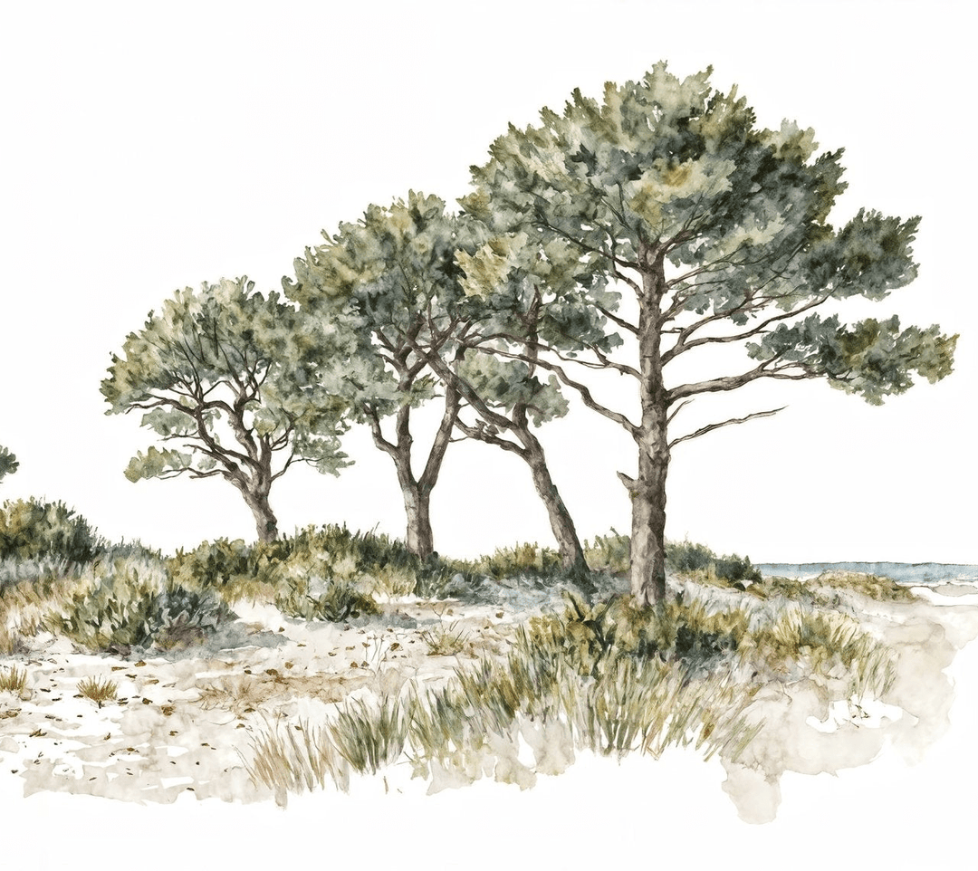 Brise des dunes - Illulart: Papier peint panoramique