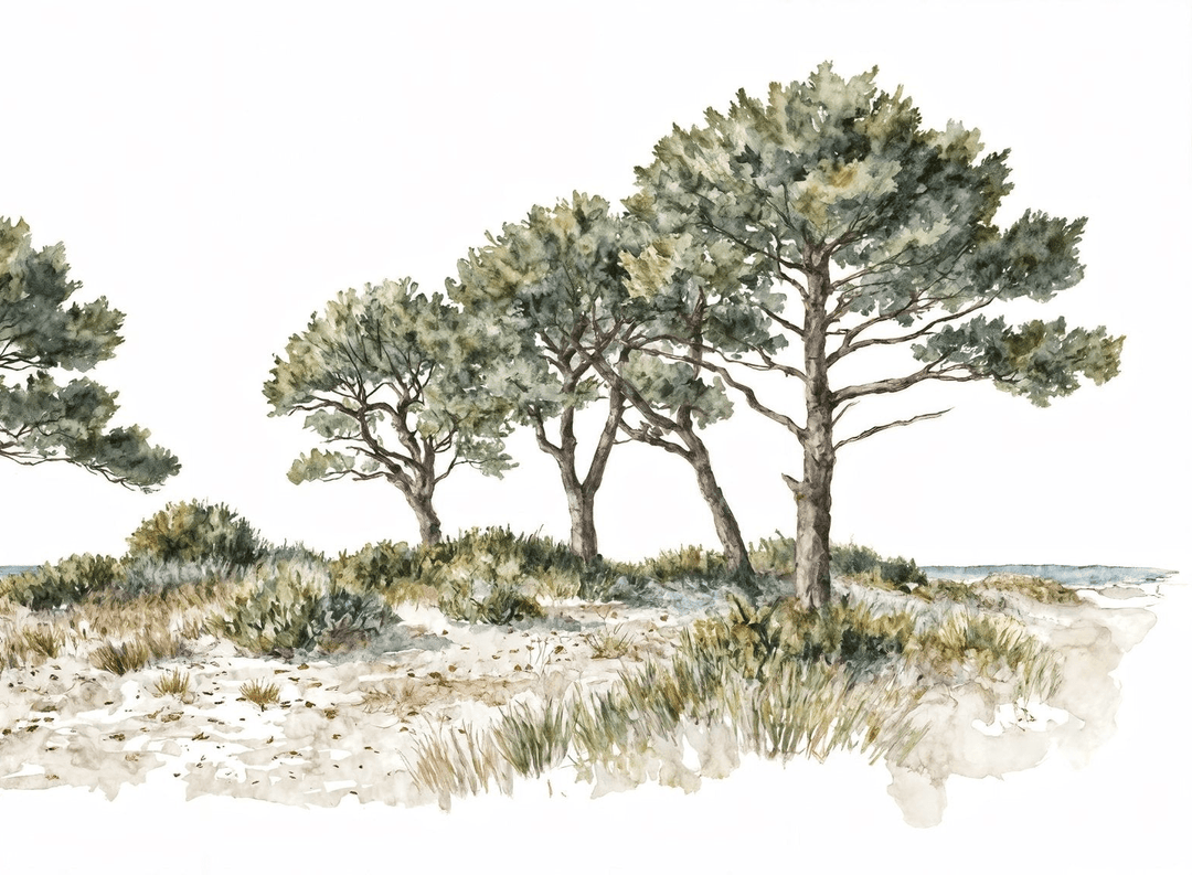 Brise des dunes - Illulart: Papier peint panoramique