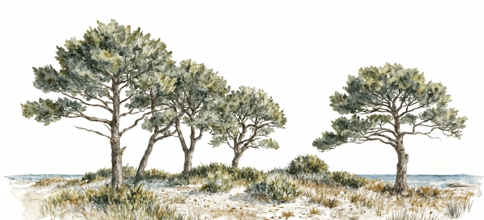 Brise des dunes