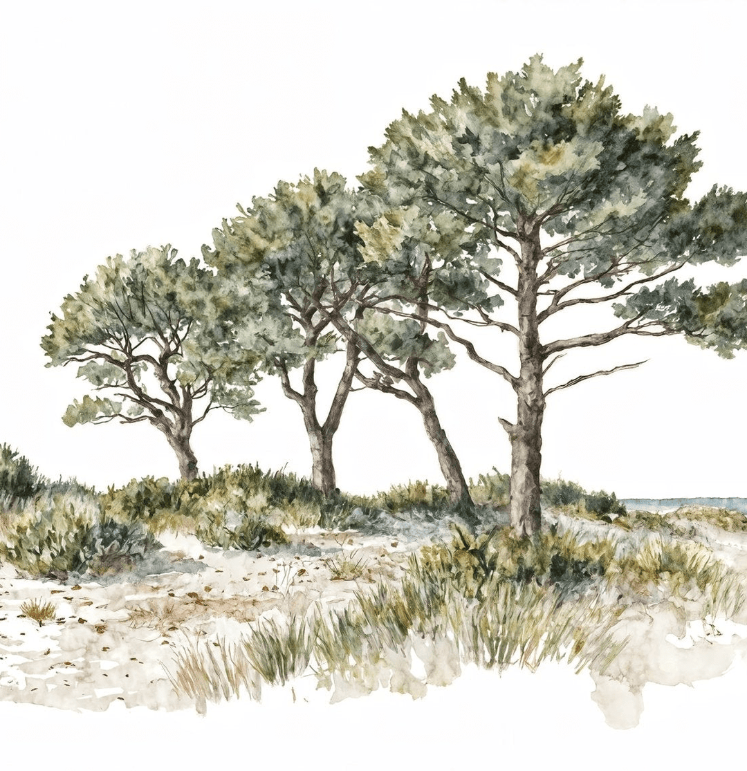Brise des dunes - Illulart: Papier peint panoramique