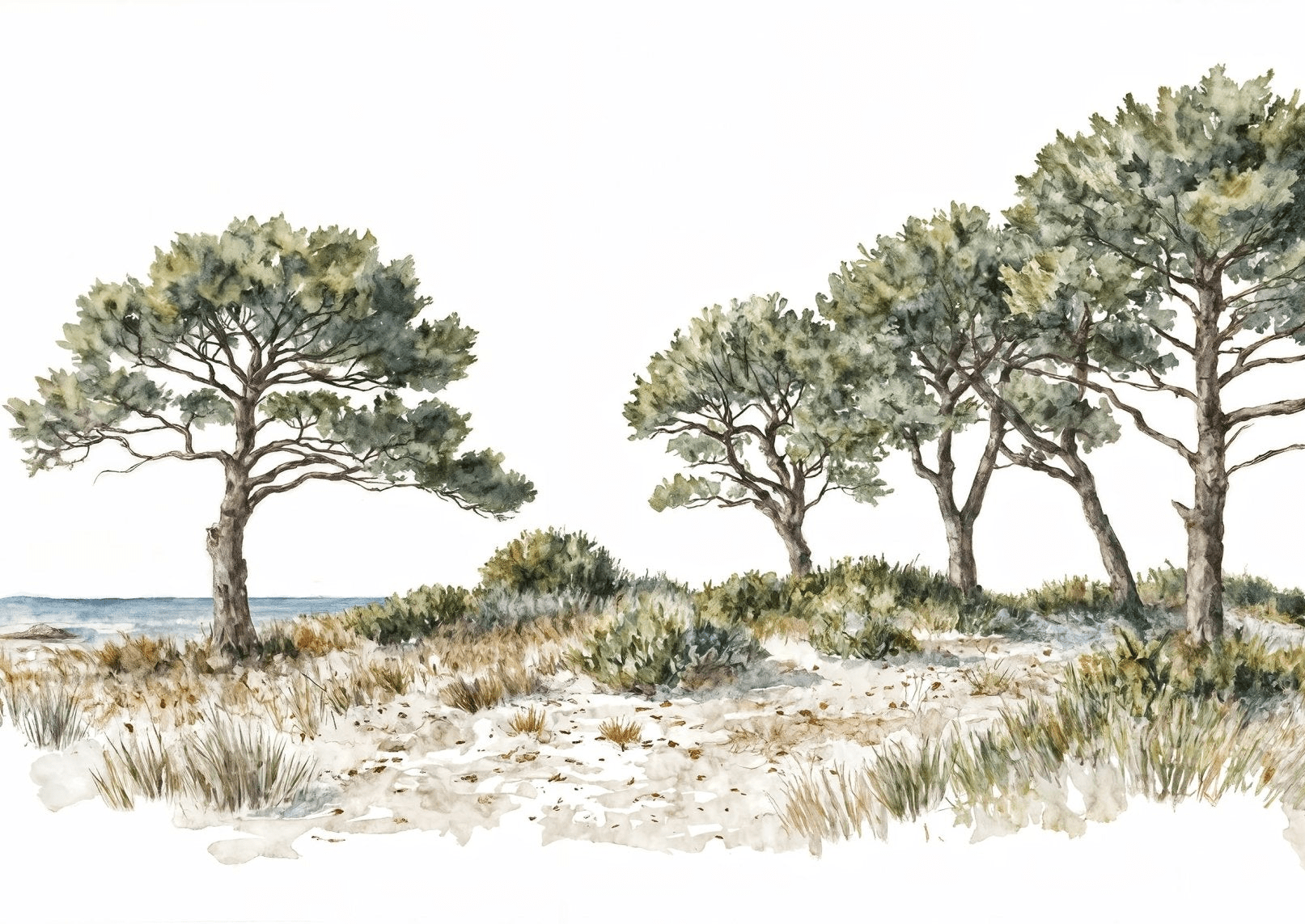 Brise des dunes