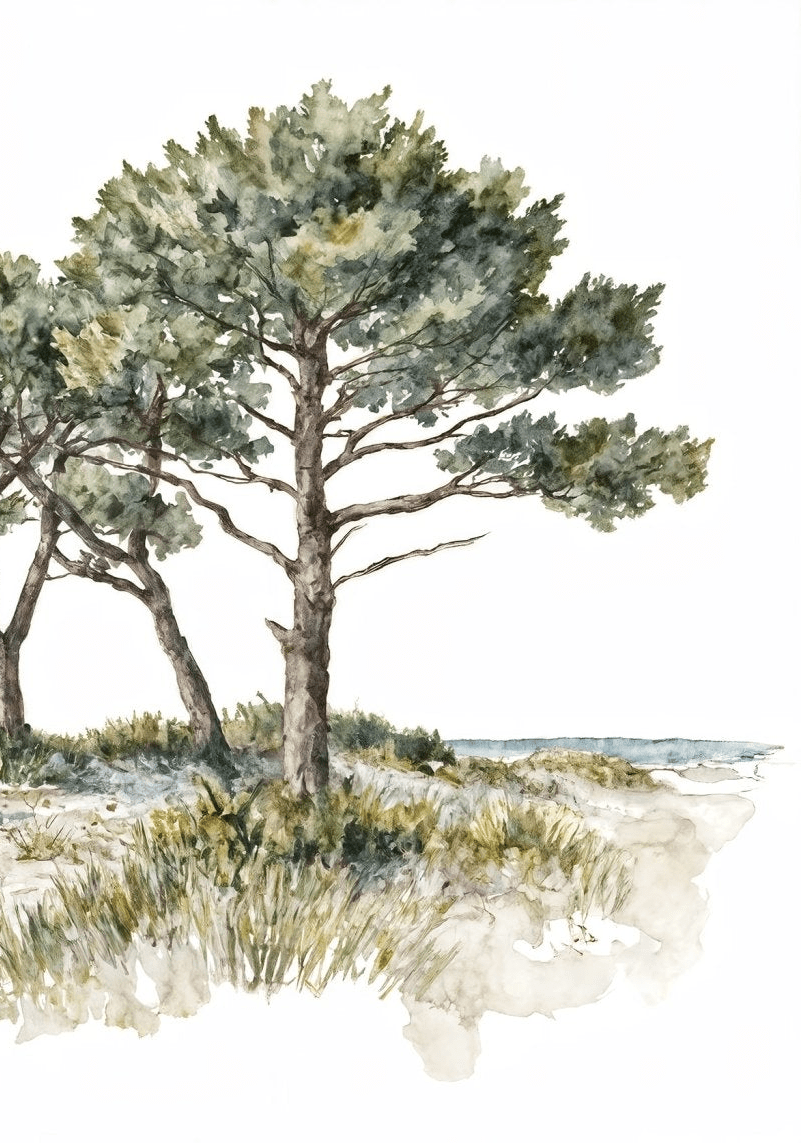 Brise des dunes