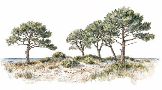 Brise des dunes - Illulart: Papier peint panoramique