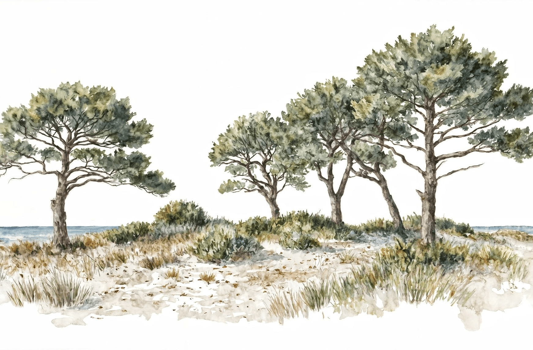 Brise des dunes