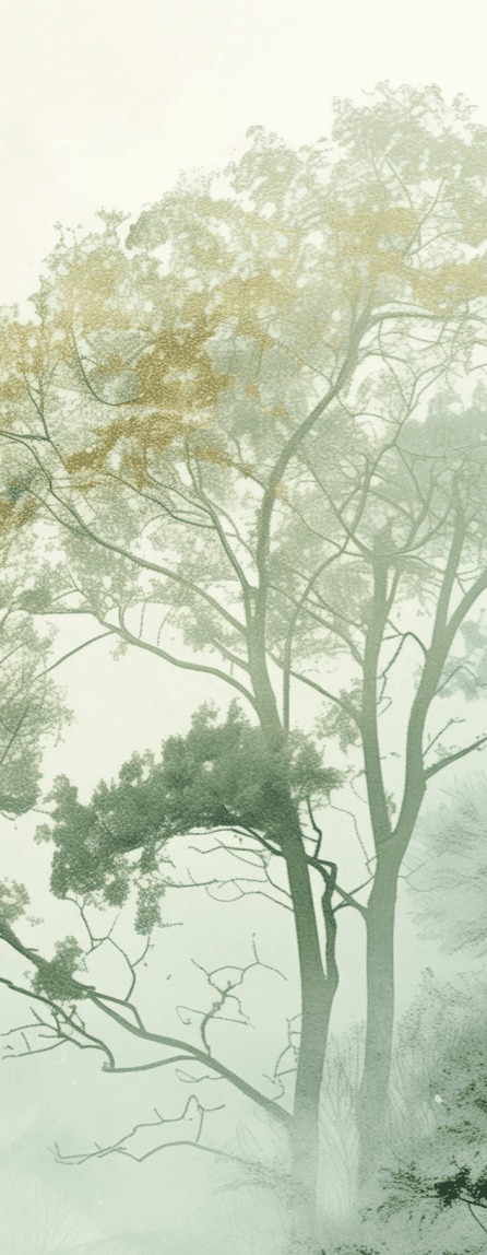 Chuchotements des Arbres : Mystique et Brume - Illulart: Papier peint panoramique