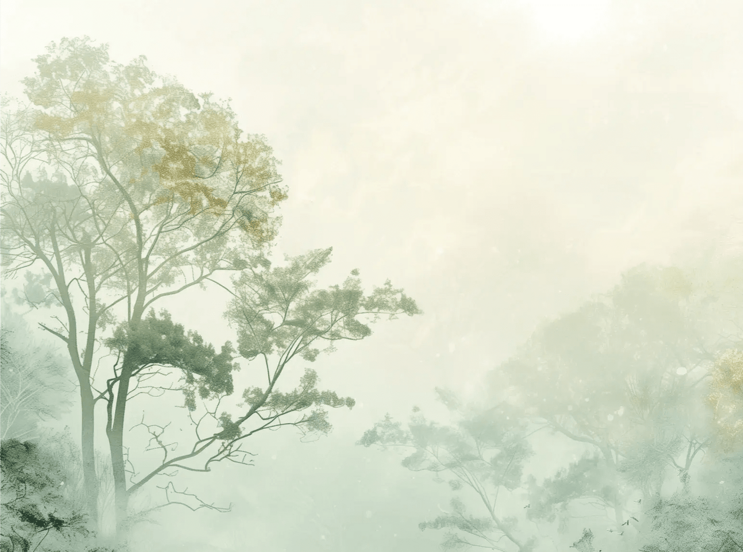 Chuchotements des Arbres : Mystique et Brume - Illulart: Papier peint panoramique
