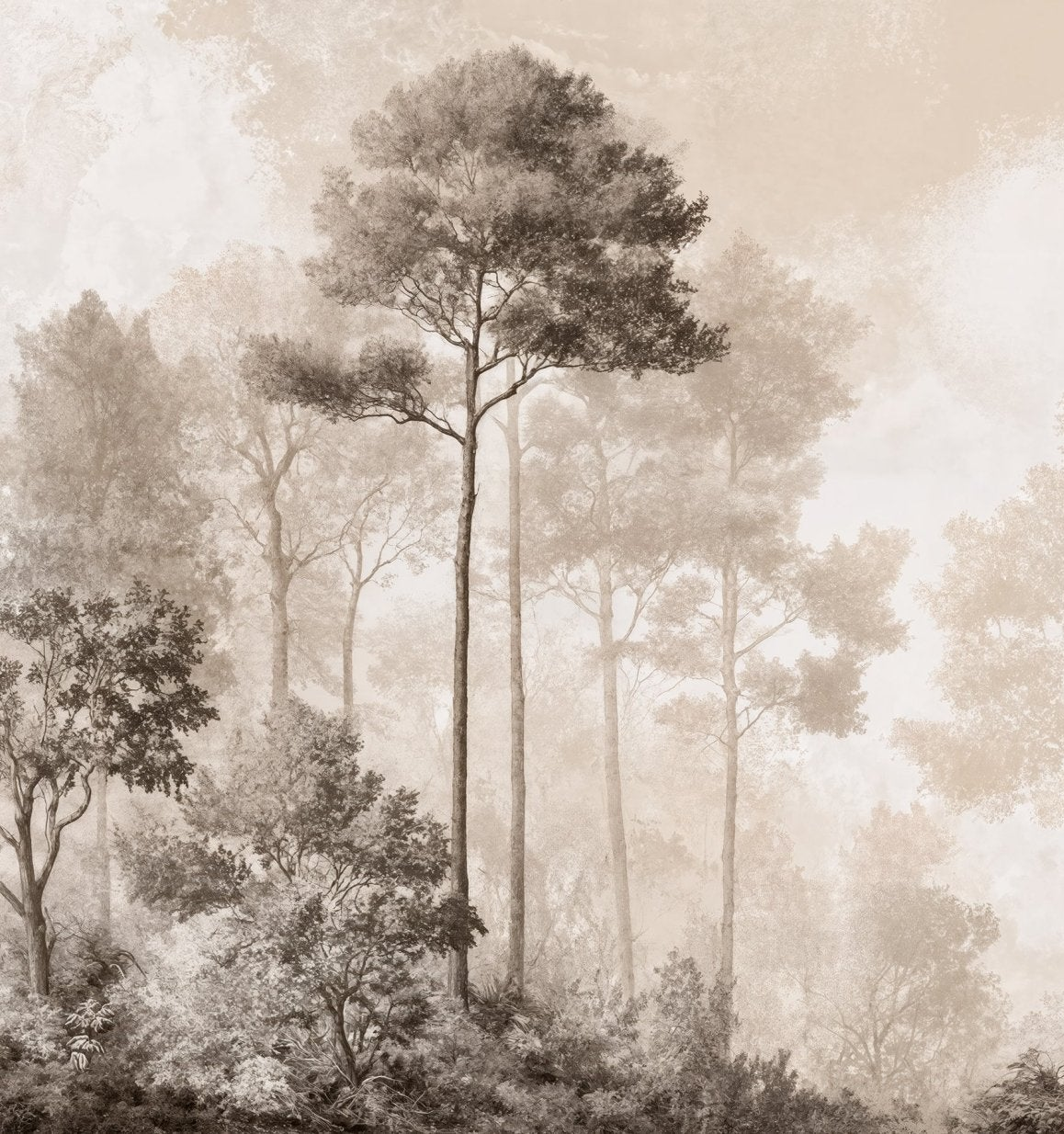 Image croppée