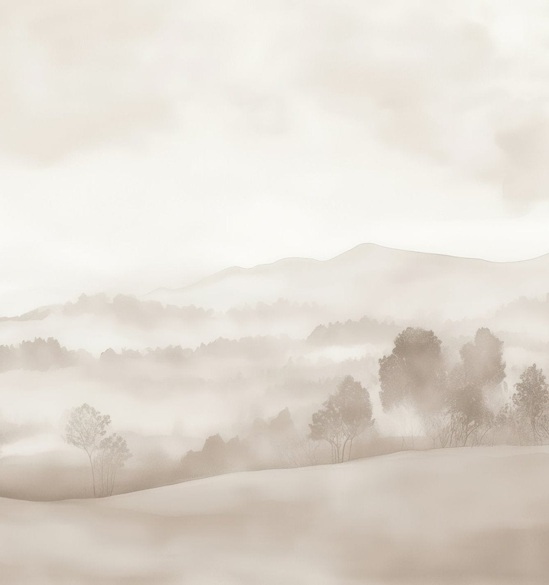 Image croppée