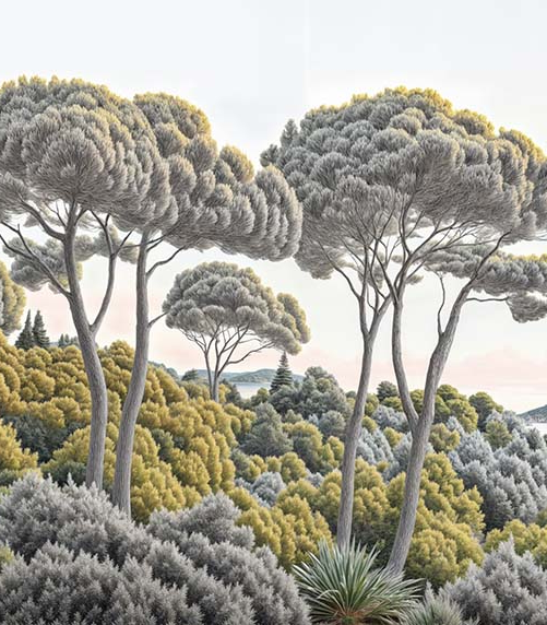 Image croppée