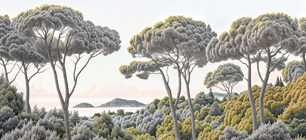 Image croppée